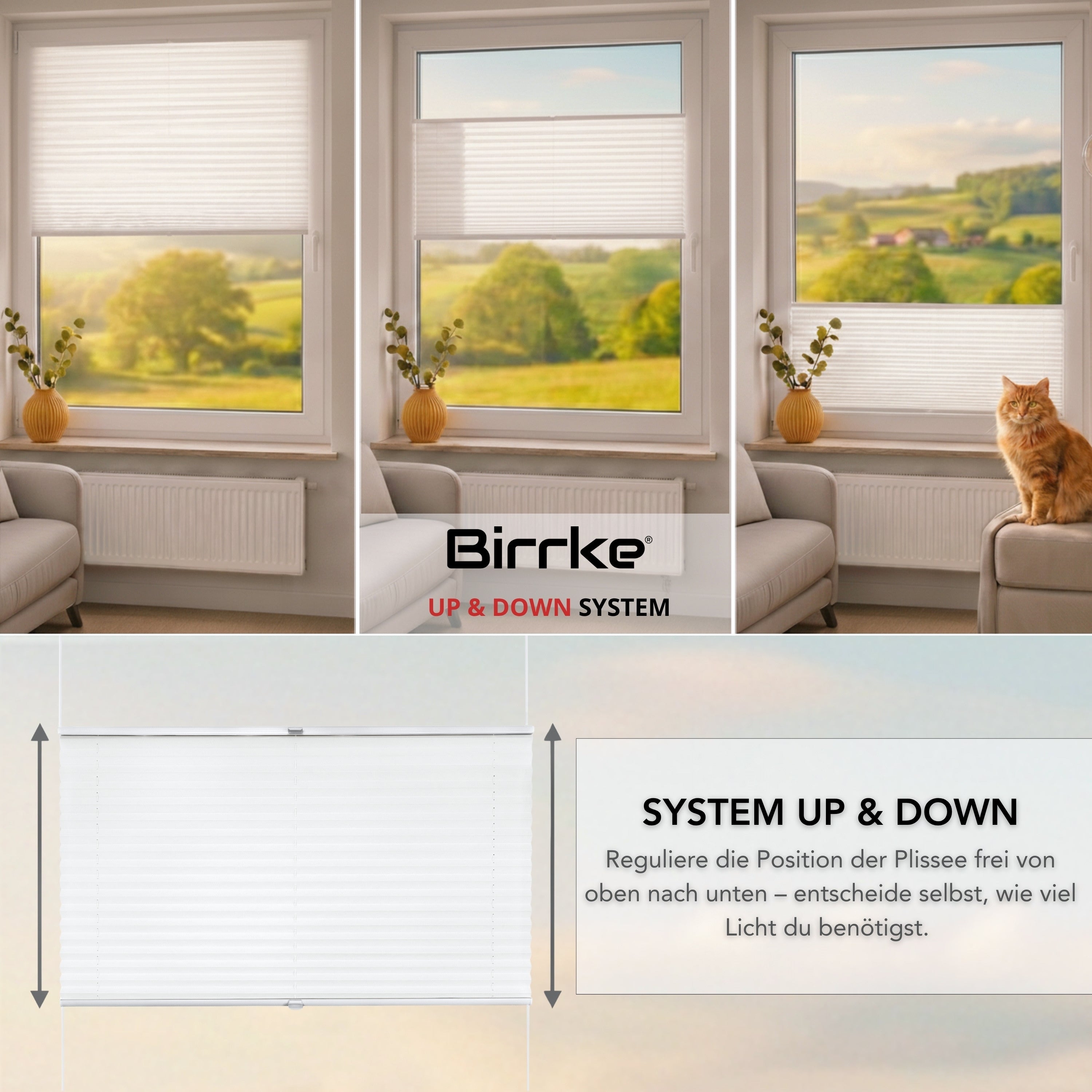 Birrke® Thermo-Plissee nach Maß zum Bohren – Halbverdunkelnd & Hitzeschutz